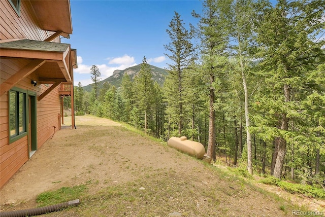 191 Blue Spruce Dr, Evergreen, CO 80439 - photo 35