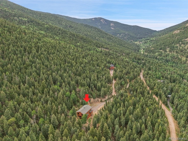191 Blue Spruce Dr, Evergreen, CO 80439 - photo 42