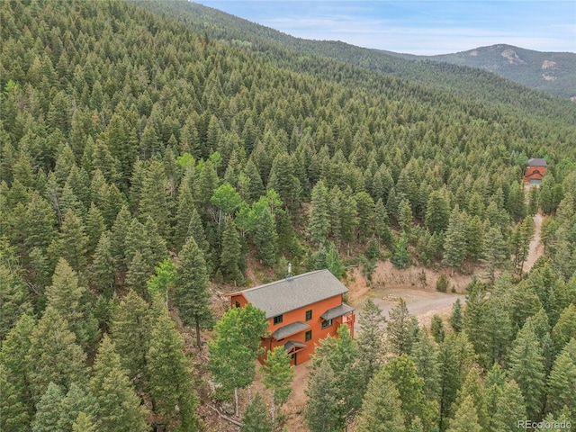 191 Blue Spruce Dr, Evergreen, CO 80439 - photo 43