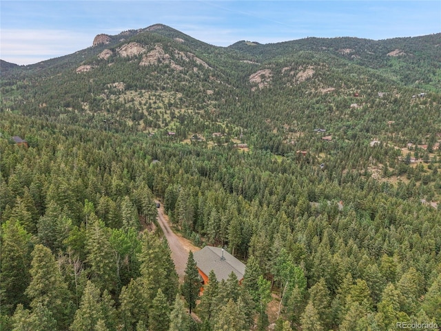191 Blue Spruce Dr, Evergreen, CO 80439 - photo 44