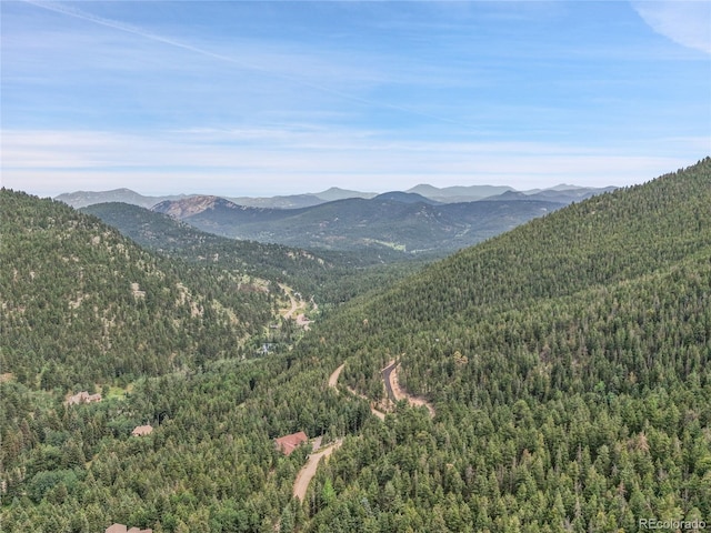 191 Blue Spruce Dr, Evergreen, CO 80439 - photo 45