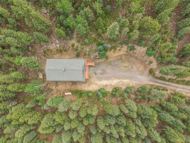 191 Blue Spruce Dr, Evergreen, CO 80439 - photo 46