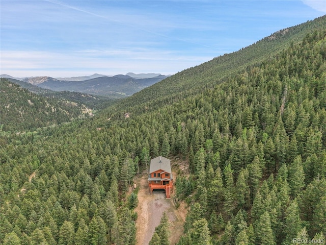 191 Blue Spruce Dr, Evergreen, CO 80439 - photo 47