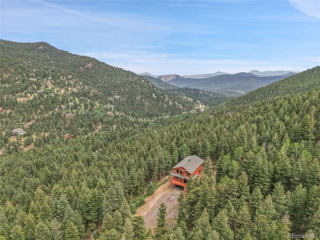 191 Blue Spruce Dr, Evergreen, CO 80439 - photo 48