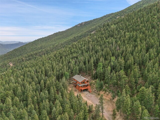 191 Blue Spruce Dr, Evergreen, CO 80439 - photo 49
