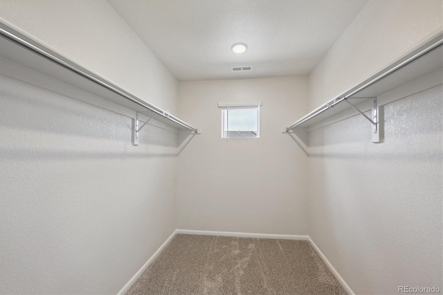 13927 Vispo Way, Broomfield, CO 80020 - photo 20