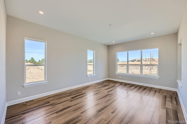 spare room with a wealth of natural light and wood-type flooring