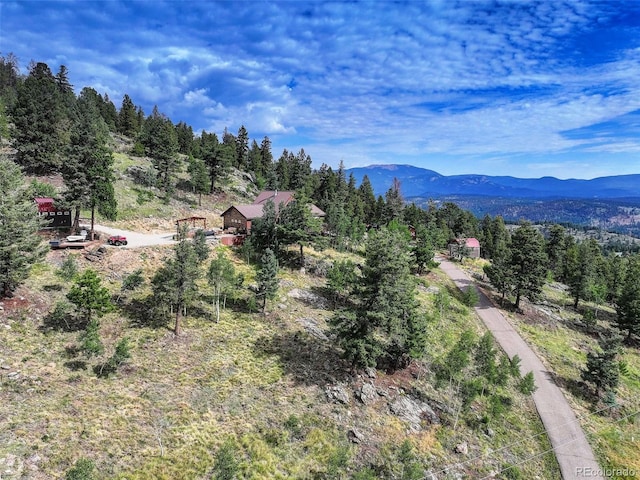 291 Pinecrest Cir, Bailey, CO 80421 - photo 8