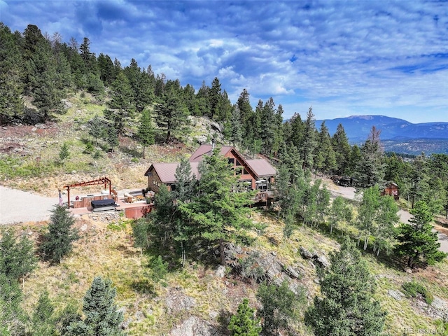291 Pinecrest Cir, Bailey, CO 80421 - photo 31