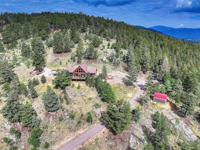 291 Pinecrest Cir, Bailey, CO 80421 - photo 32
