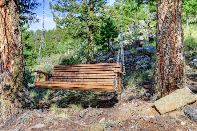 291 Pinecrest Cir, Bailey, CO 80421 - photo 39