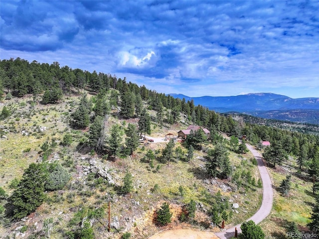 291 Pinecrest Cir, Bailey, CO 80421 - photo 47