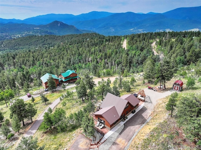 291 Pinecrest Cir, Bailey, CO 80421 - photo 48