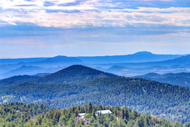 291 Pinecrest Cir, Bailey, CO 80421 - photo 49