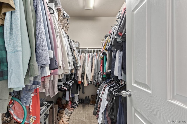 spacious closet with carpet floors