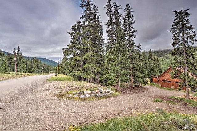201 Nuthatch Dr, Alma, CO 80420 - view of street featuring a wooded view
