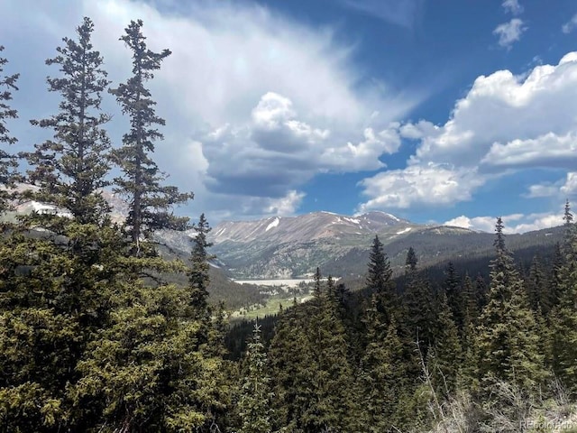 201 Nuthatch Dr, Alma, CO 80420 - view of mountain backdrop featuring a forest