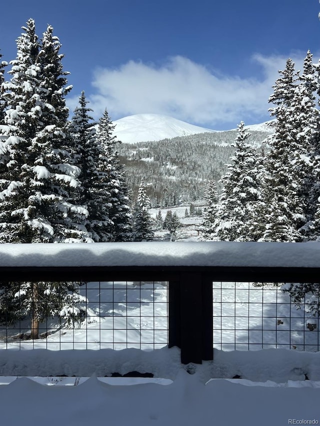 201 Nuthatch Dr, Alma, CO 80420 - mountain view
