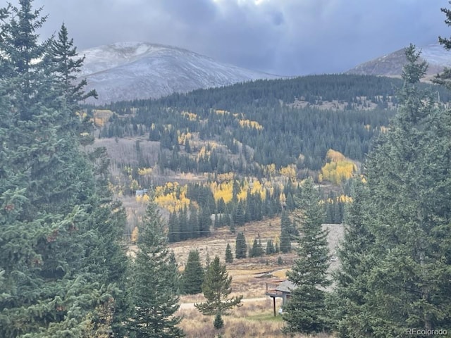 201 Nuthatch Dr, Alma, CO 80420 - view of mountain backdrop featuring a heavily wooded area