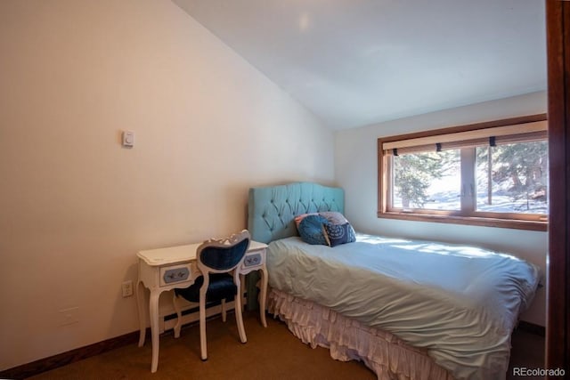 201 Nuthatch Dr, Alma, CO 80420 - bedroom with vaulted ceiling and carpet floors