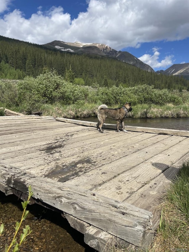 201 Nuthatch Dr, Alma, CO 80420 - mountain view with a heavily wooded area