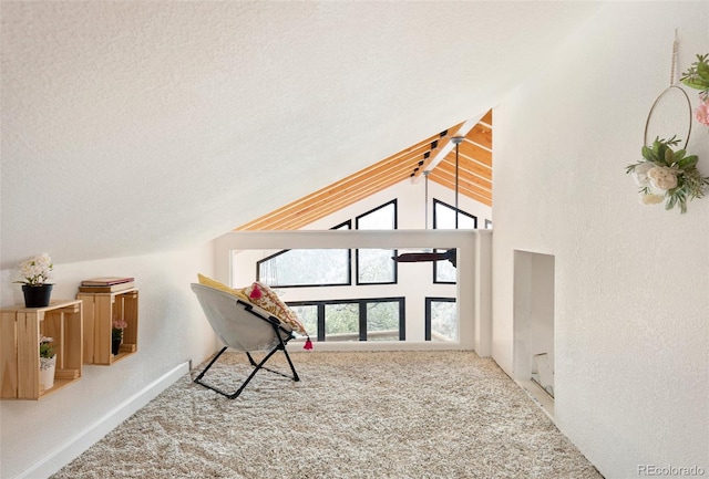 additional living space featuring carpet floors, a textured ceiling, and lofted ceiling