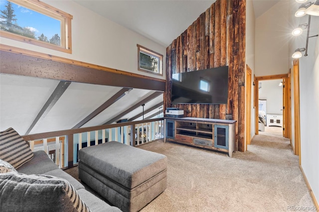 43 Maverick Way, Silverthorne, CO 80498 - photo 27