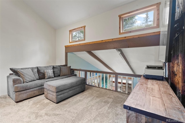 43 Maverick Way, Silverthorne, CO 80498 - photo 28