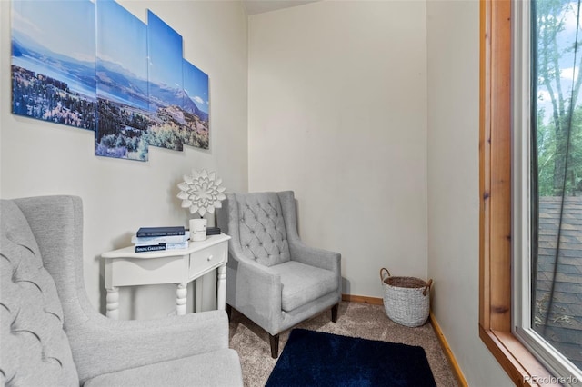 43 Maverick Way, Silverthorne, CO 80498 - photo 29