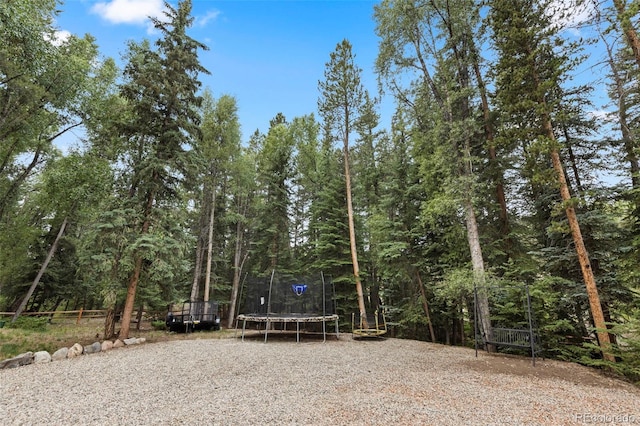 43 Maverick Way, Silverthorne, CO 80498 - photo 39