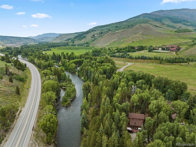 43 Maverick Way, Silverthorne, CO 80498 - photo 48