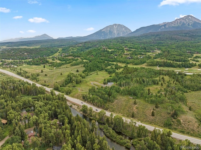 43 Maverick Way, Silverthorne, CO 80498 - photo 49