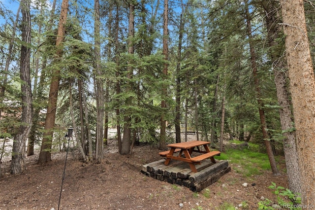 43 Maverick Way, Silverthorne, CO 80498 - photo 40