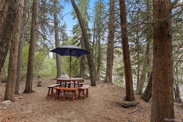 43 Maverick Way, Silverthorne, CO 80498 - photo 41