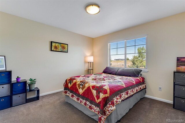 17035 E 102nd Pl, Commerce City, CO 80022 - photo 20
