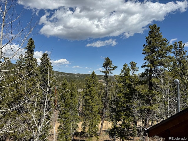 70 Highpoint Cir, Black Hawk, CO 80422 - photo 34