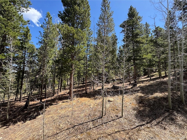 70 Highpoint Cir, Black Hawk, CO 80422 - photo 36