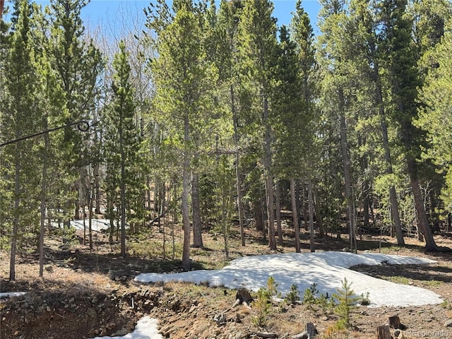 70 Highpoint Cir, Black Hawk, CO 80422 - photo 37