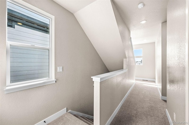 16605 Peak St, Broomfield, CO 80023 - stairway featuring carpet and baseboards