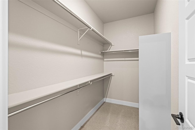 16605 Peak St, Broomfield, CO 80023 - walk in closet featuring light carpet