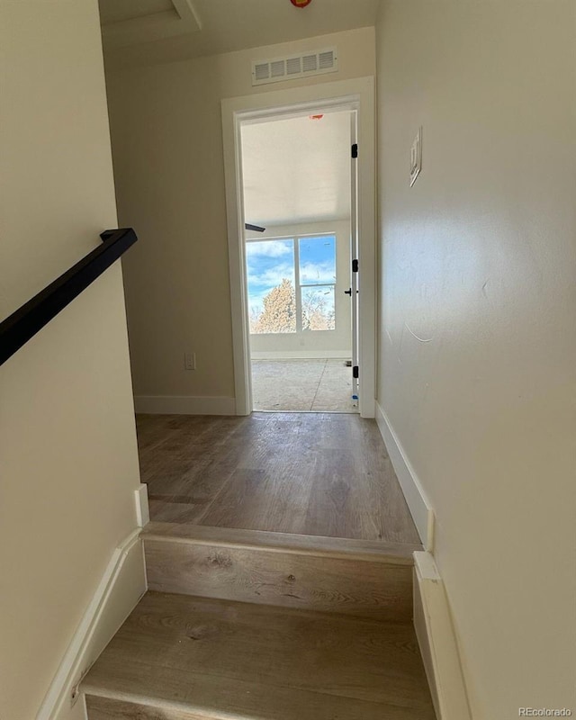 stairs with hardwood / wood-style floors