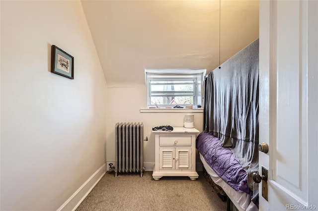 2122 E 13th Ave, Denver, CO 80206 - sitting room featuring vaulted ceiling, baseboards, carpet floors, and radiator