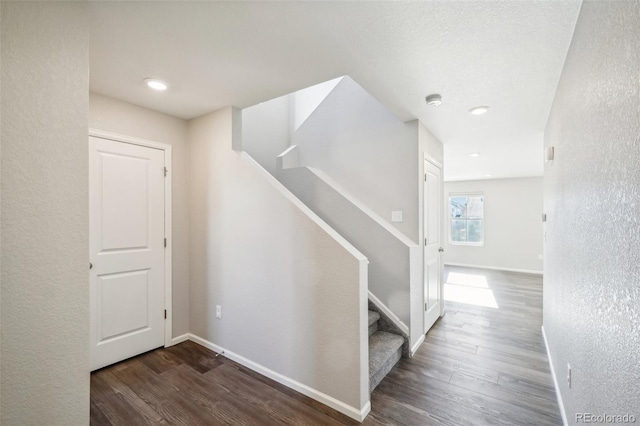 stairway with hardwood / wood-style floors