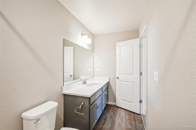 bathroom featuring vanity, toilet, and wood-type flooring