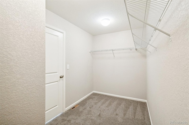 spacious closet with carpet floors