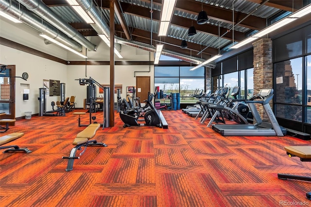 10771 N Montane Dr, Broomfield, CO 80021