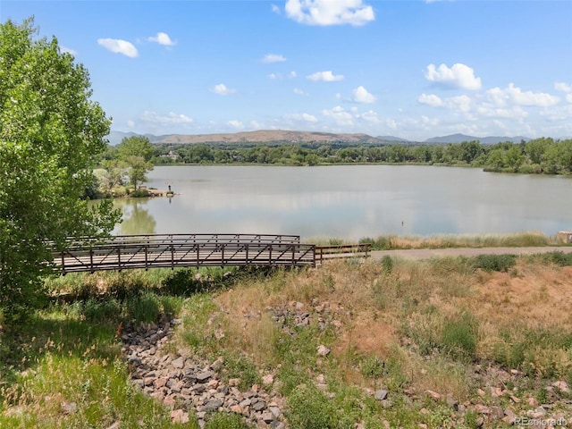 10005 W Warren Dr, Lakewood, CO 80227 - photo 47