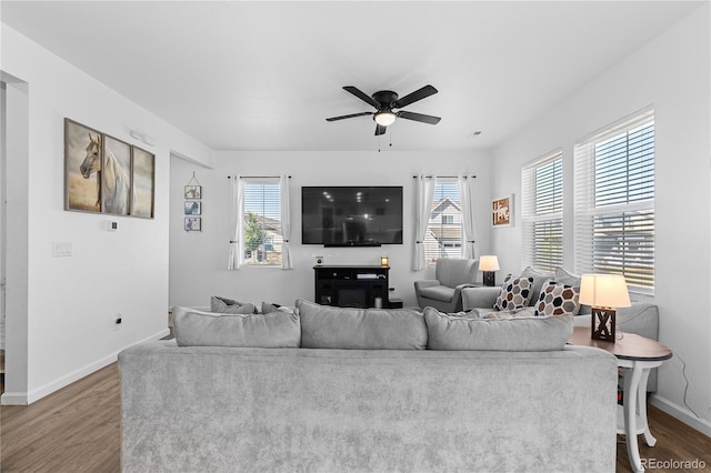 living room featuring dark hardwood / wood-style floors, a healthy amount of sunlight, and ceiling fan