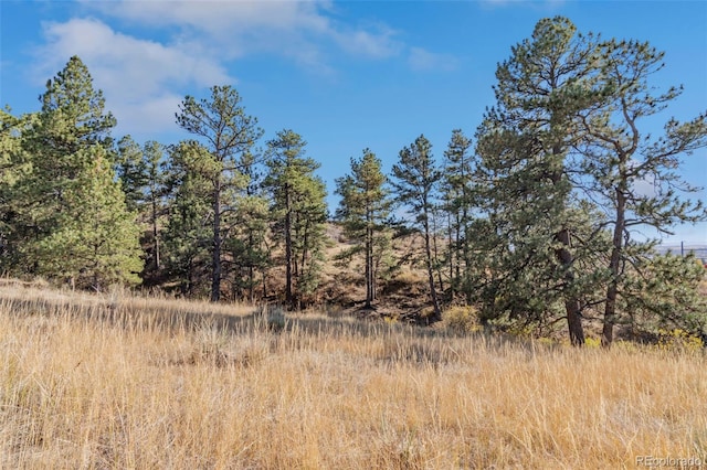 13500 Pine Dr, Parker, CO 80138