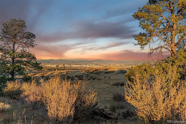 13500 Pine Dr, Parker, CO 80138